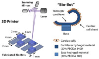 University of Illinois Scientists Create Bio-Bots with 3D Printing