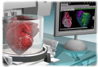 Organovo and Modern Meadow Develop Bioprinting for the Future