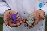 Rapid Ready Roundup: RAPID 2013, 3D Printed Rooms, Cities and Bugs