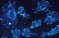 Drexel University Leverages 3D Printing for Cancer Research