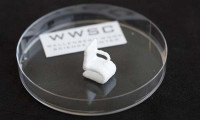 Scientists Produce Cellulose-based 3D Printed Circuitry