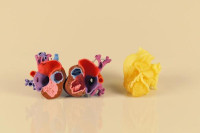 Flexible Heart Model Printing