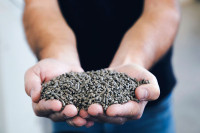 Greening the 3D Printing Industry