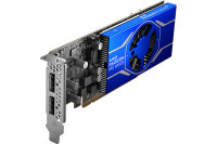 A Diminutive Powerhouse