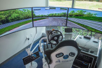 Collaborative Simulation