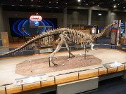 3D Printing Unearths Dinosaur Bones