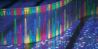 Forecasting the  Next Epidemic with High Performance Computing