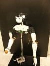 Print Yourself a Robot