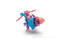HP Design Contest Hopes to Spark Color 3D Print Revolution