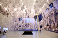 Silkworms Could Provide the Key to 3D Printed Structures