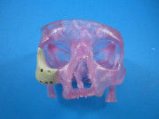 FDA Holds 3D Printing Workshop