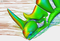 Rhino Flow RT CFD Now in Beta Phase