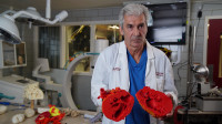 3D Printing Brings Heart Research to Life
